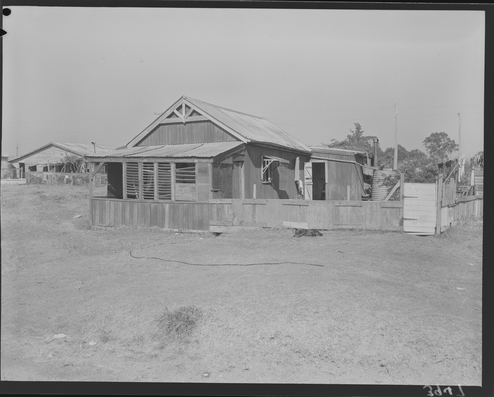 Temporary House in "Jackson Paddock" near Cubberla Creek, Fig Tree Pocket or Kenmore - 1953