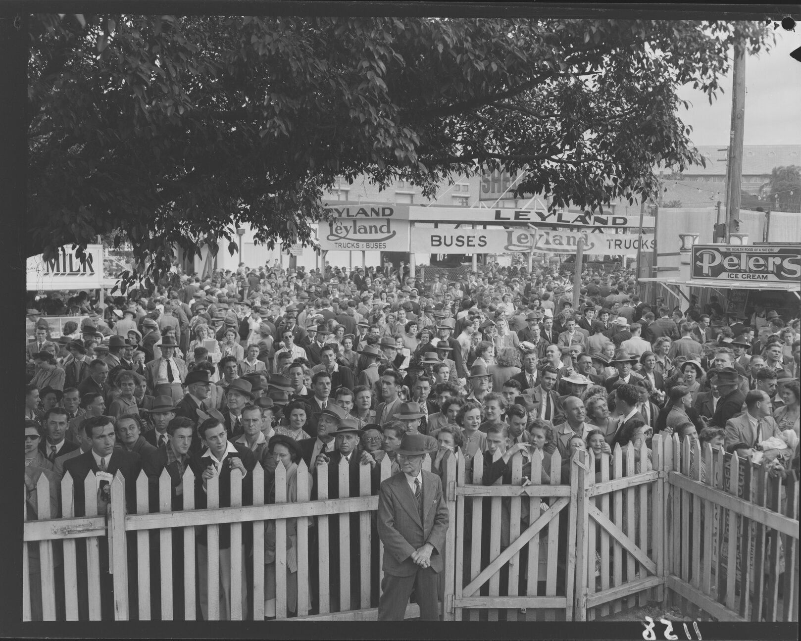 Crowd behind fence at Exhibition (Ekka) grounds - 1950