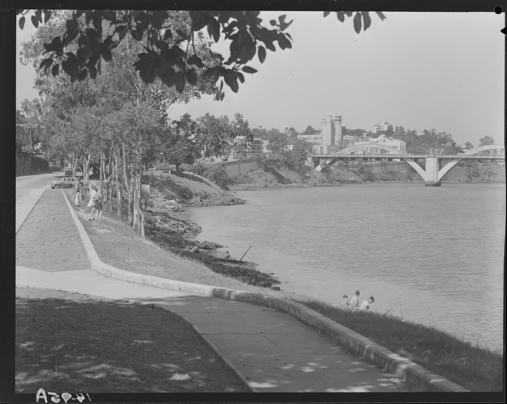 Panoramic view of Brisbane River across William Jolly bridge and Southbank - 1951