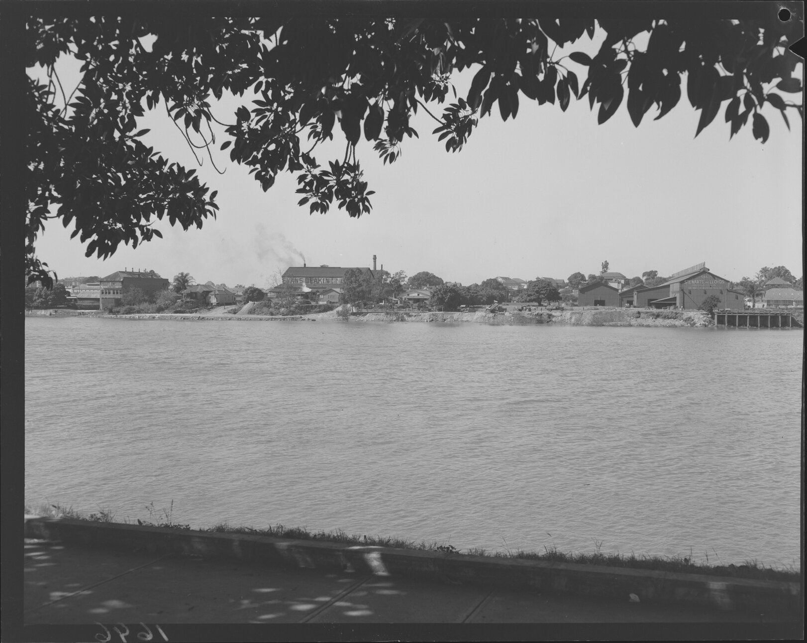View across river to South Brisbane including Evans Deakin &amp; Co Engineers - 1951