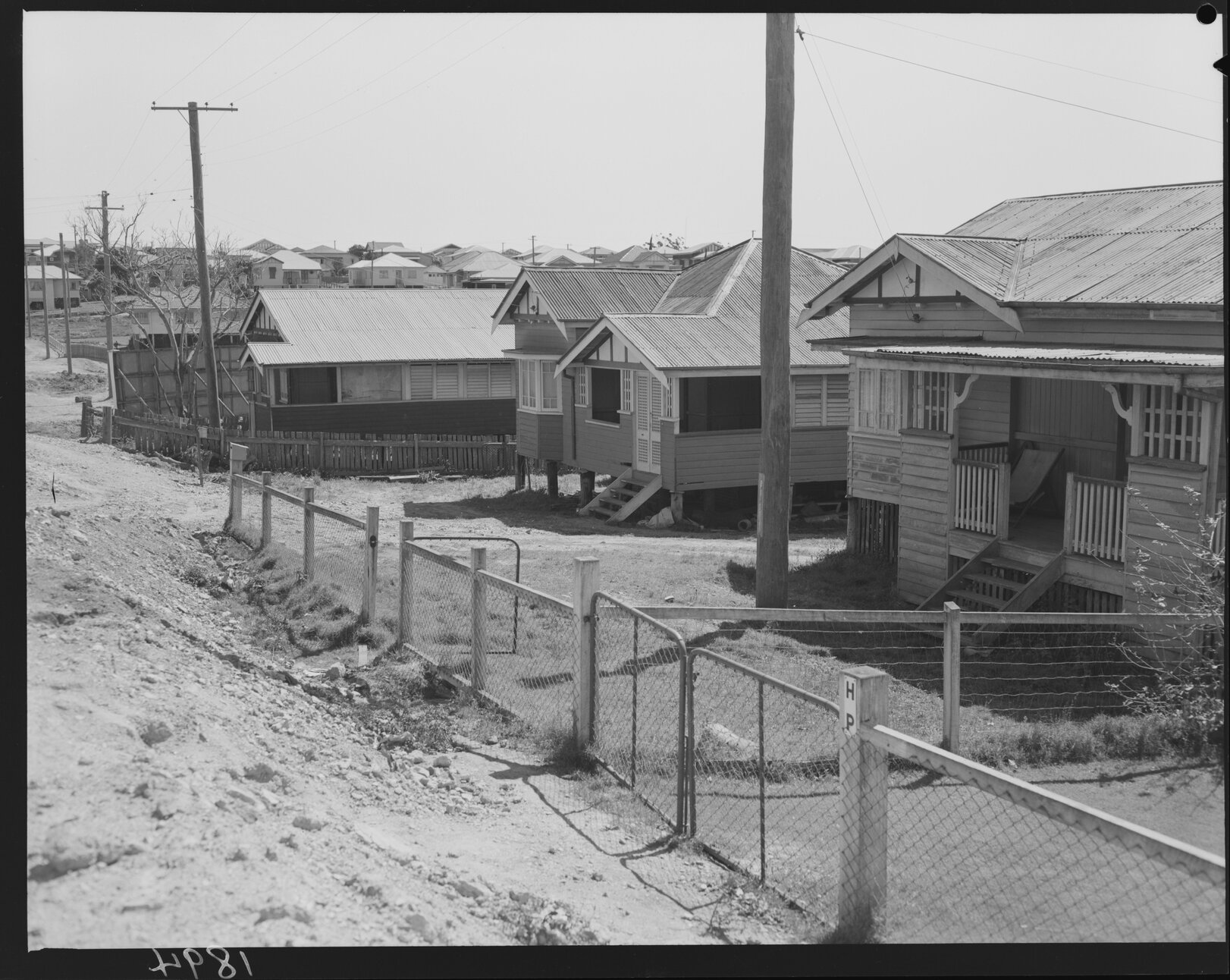 House fronts, Logan Road Mount Gravatt - 1951