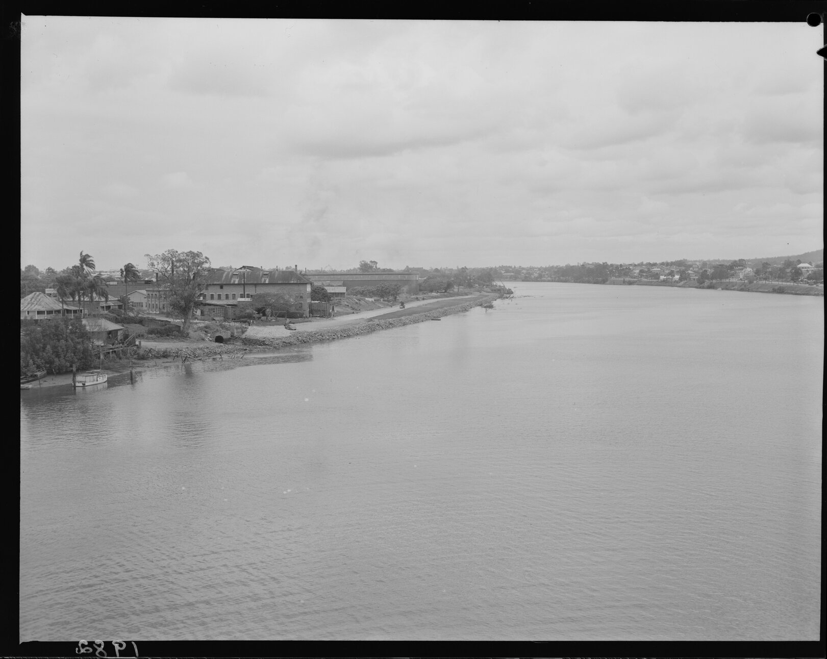 Brisbane River, Riverside Drive and Coronation Drive, West End - 1951