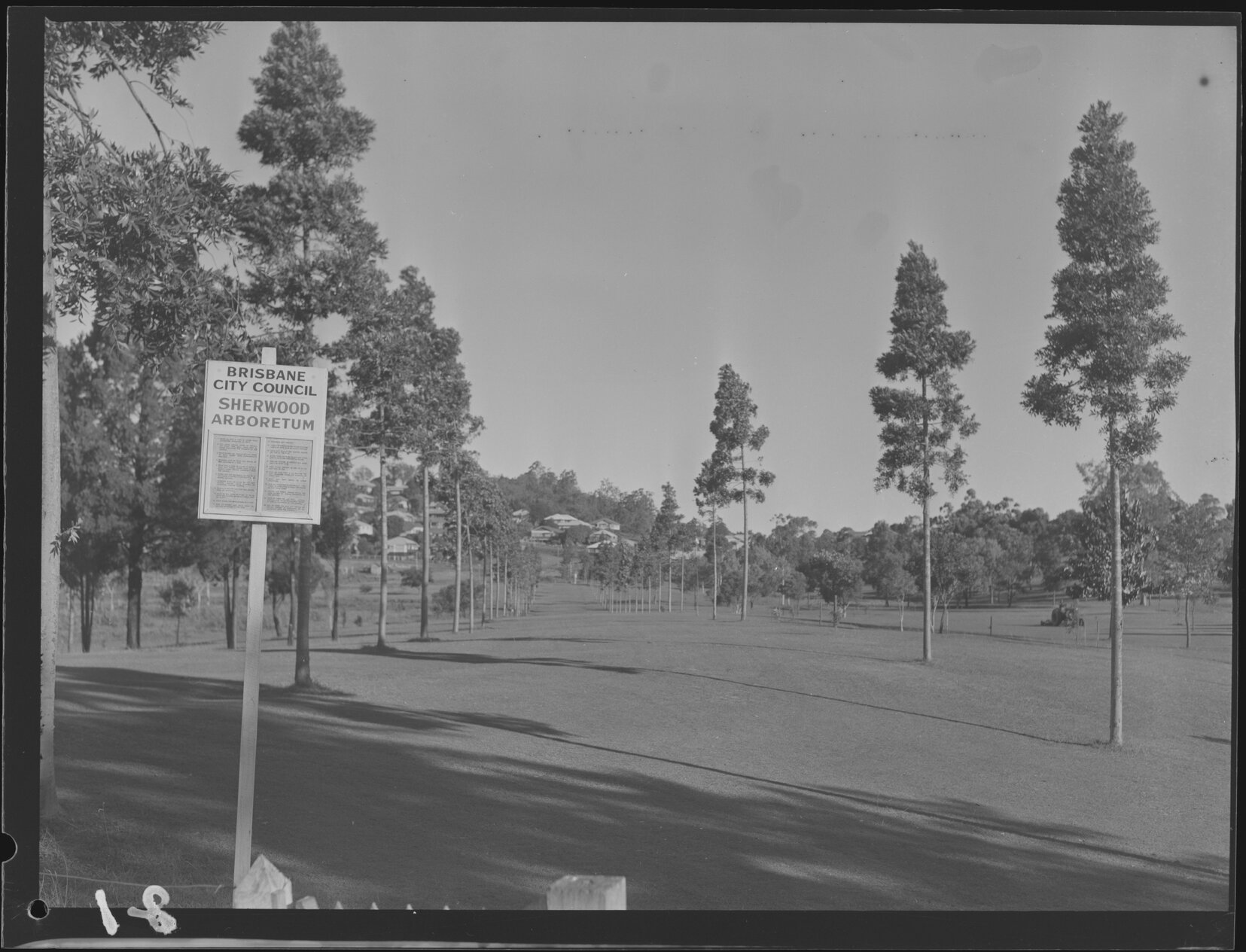 Sherwood Arboretum sign with guidelines - 1949