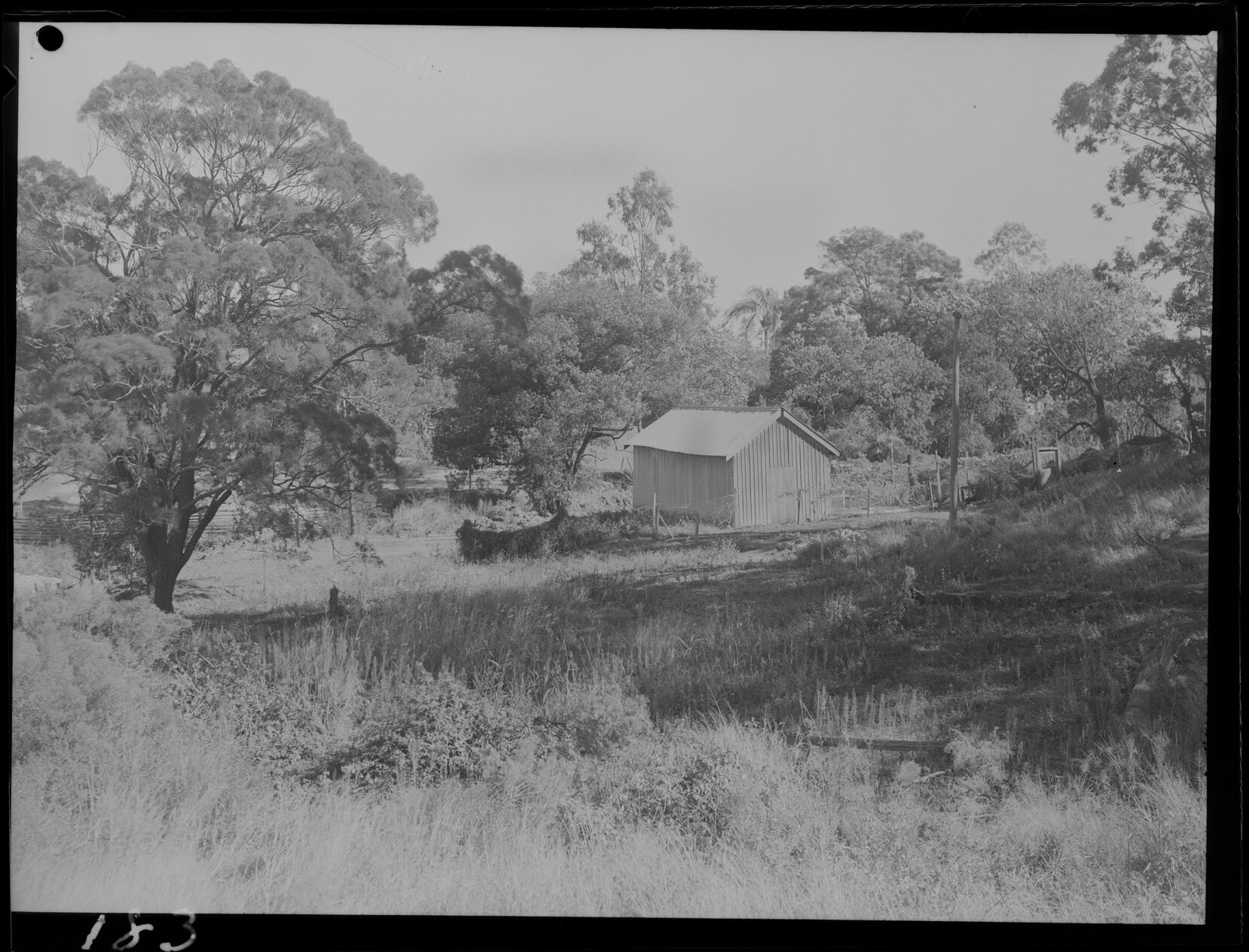 Dilapidated shed on Patrick Lane, Toowong