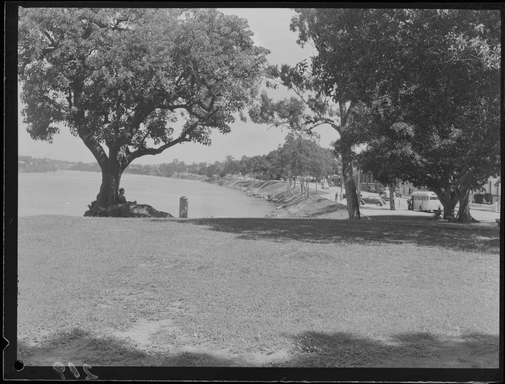 Coronation Drive, Milton, view of riverbank from small Park looking towards Toowong at corner of Cribb Street - 1949