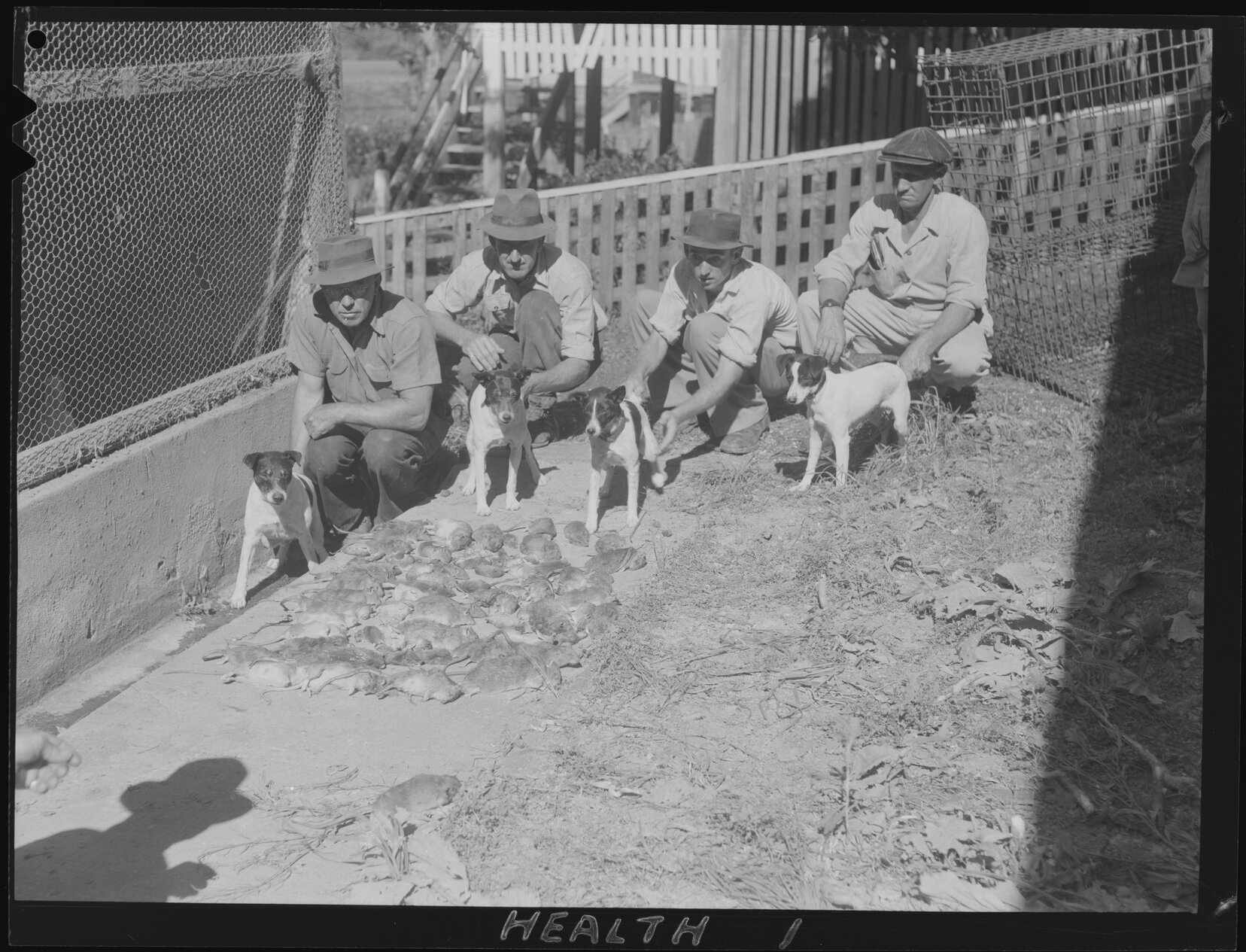 Workers posing with rat catcher dogs and their prey