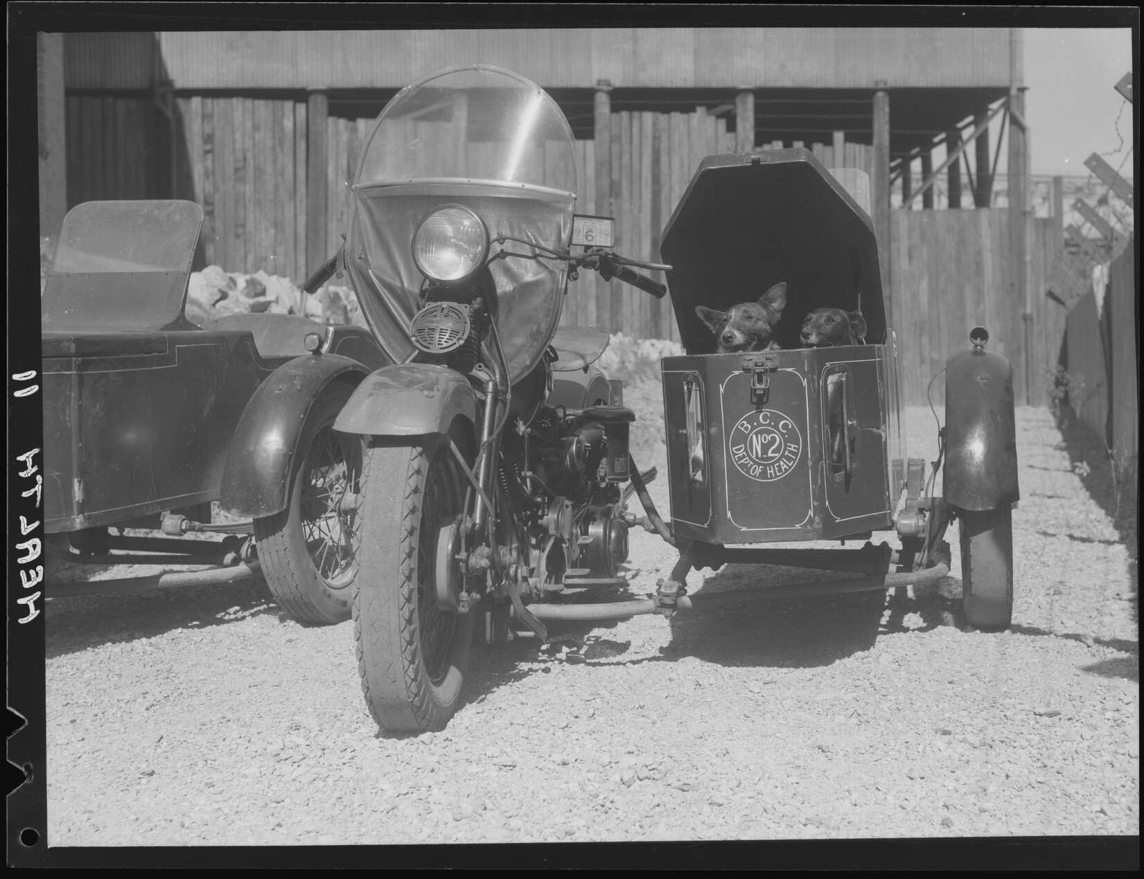 Department of Health rat catcher dogs in motorcycle side car