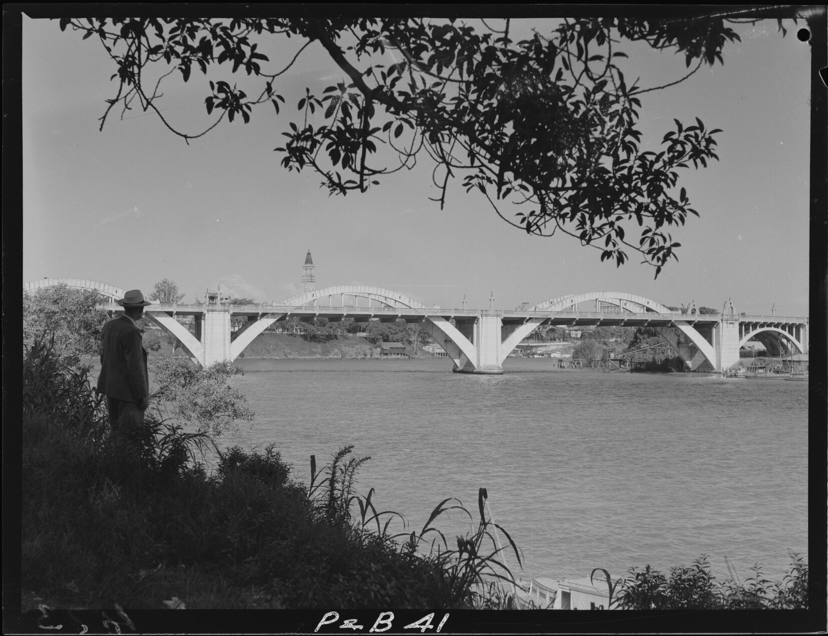Image of William Jolly Bridge, viewing from Coronation Drive, Brisbane City