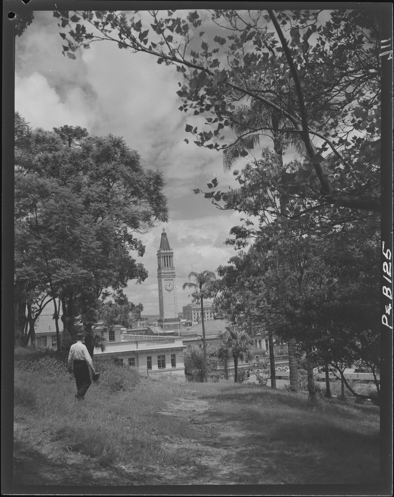 View of City Hall from Wickham Park, Spring Hill - 1948