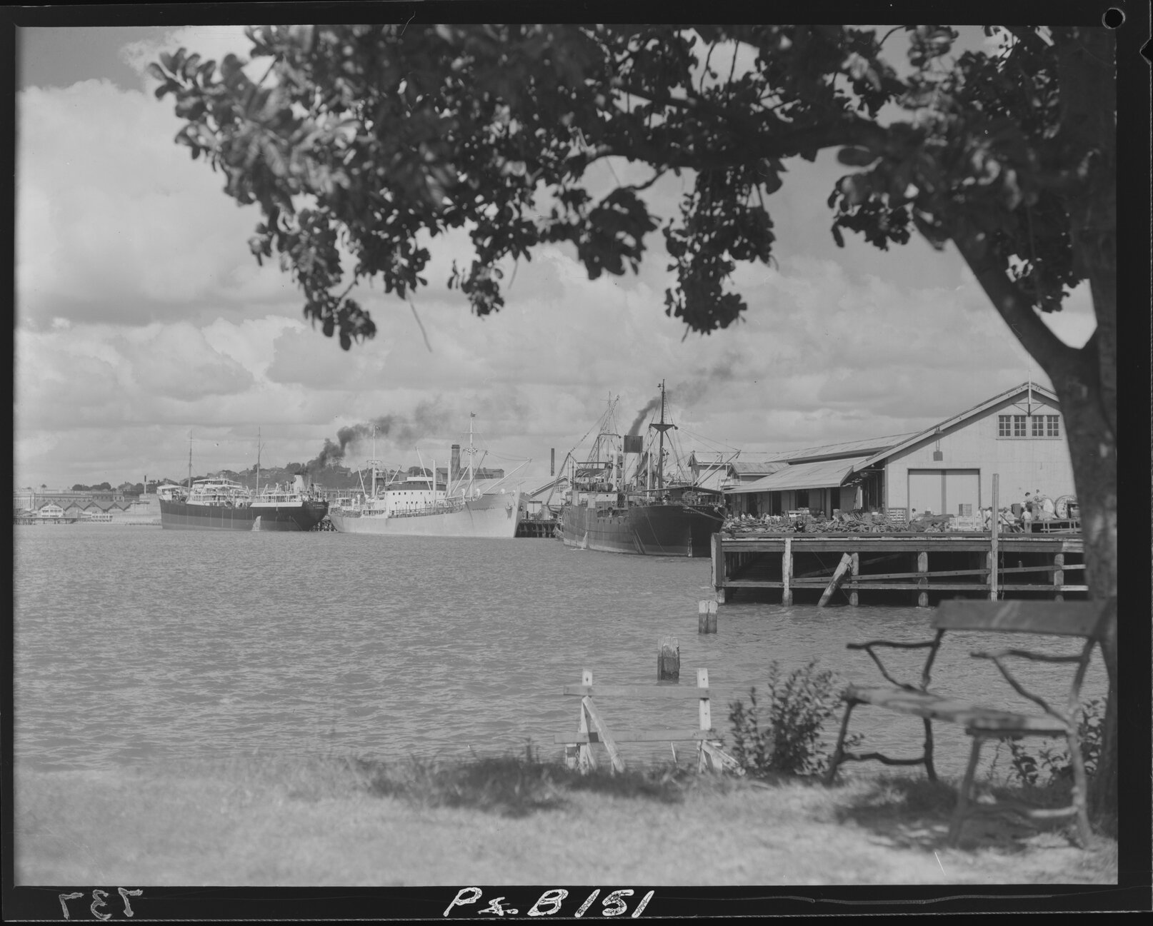 Ships moored at Newstead - 1948