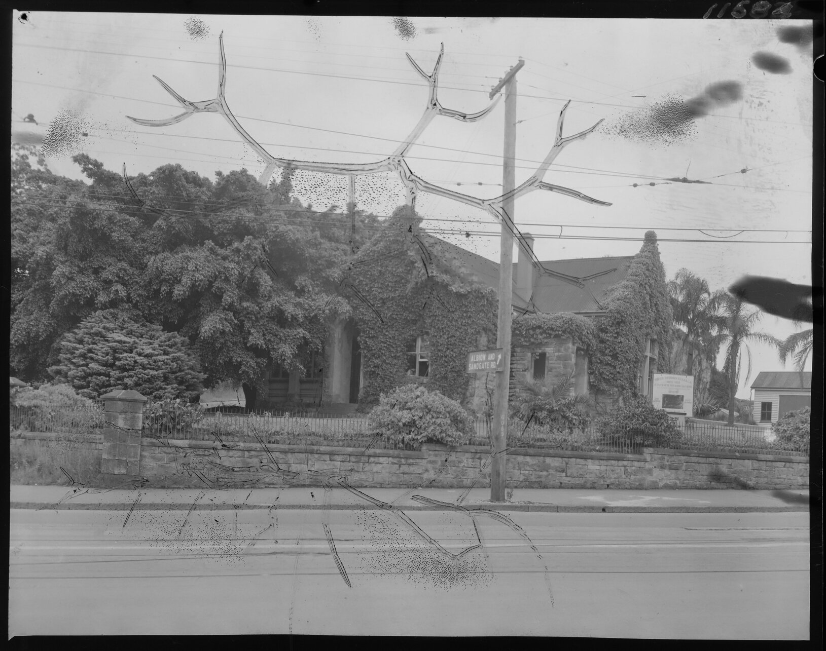 Windsor Council Chambers covered in ivy - 1959
