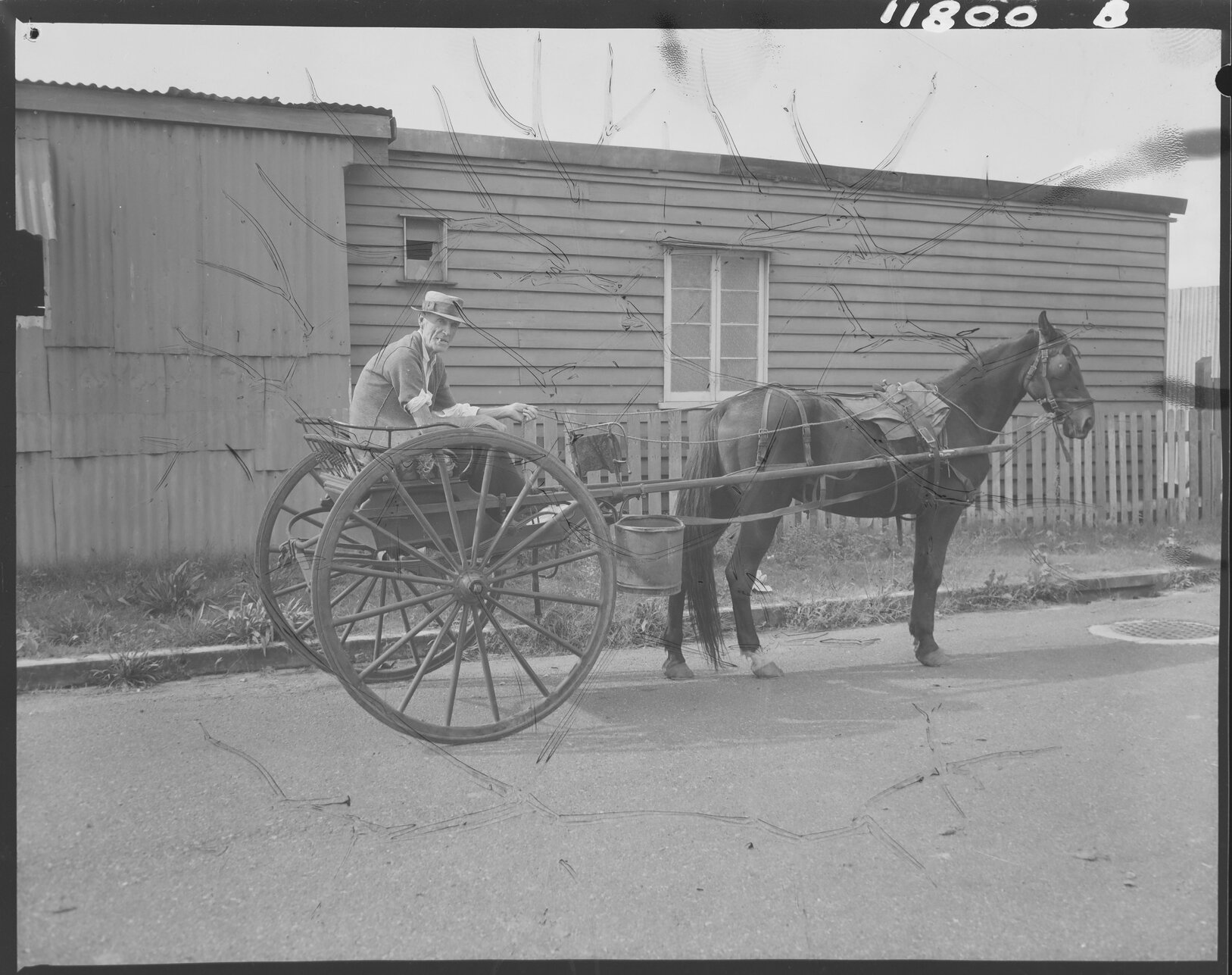 Old man with horse and cart used for mosquito control - 1959