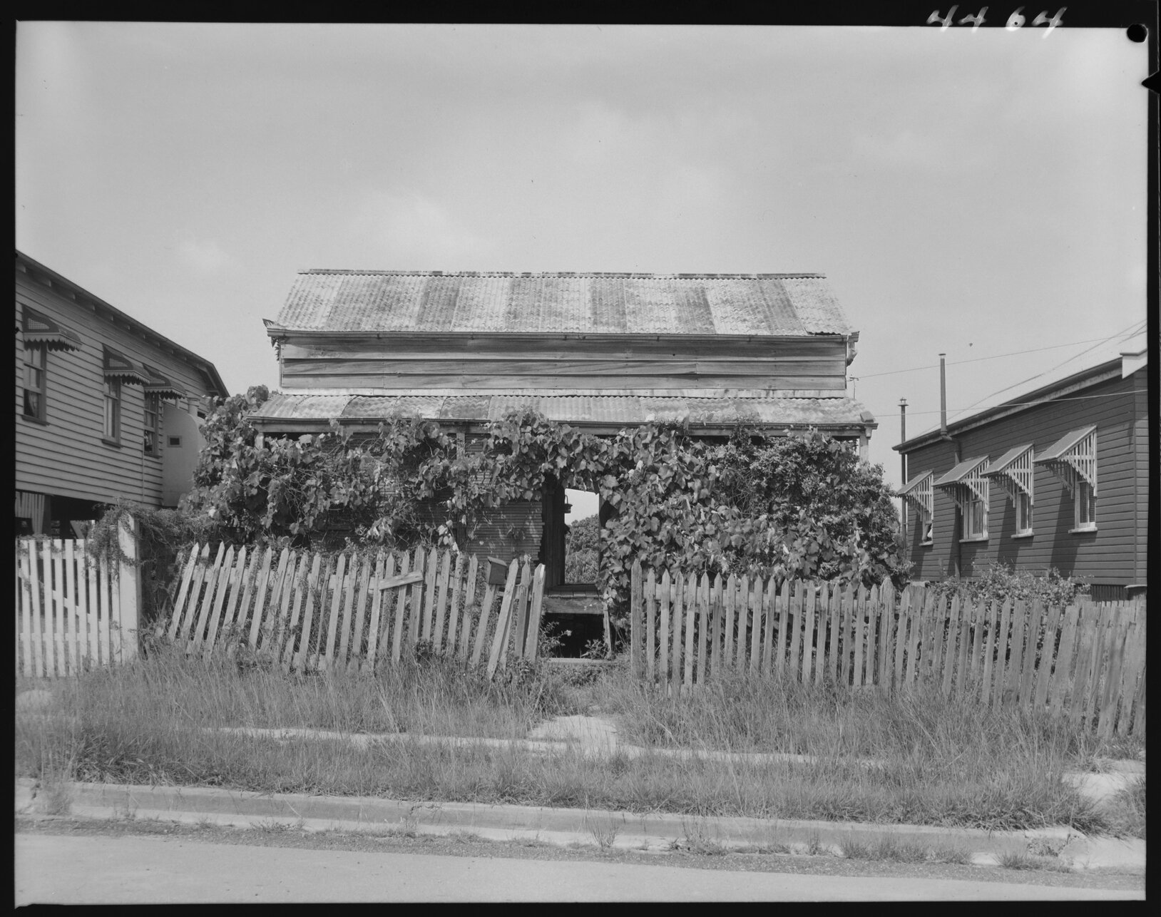 Dilapidated house overgrown with vines, 5th Avenue, unknown suburb - 1953