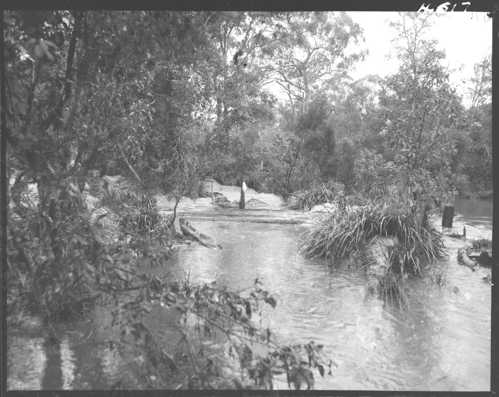 Bridge at Bulimba Creek, Mt Gravatt, now Mansfield, possibly Wecker Road - 1954