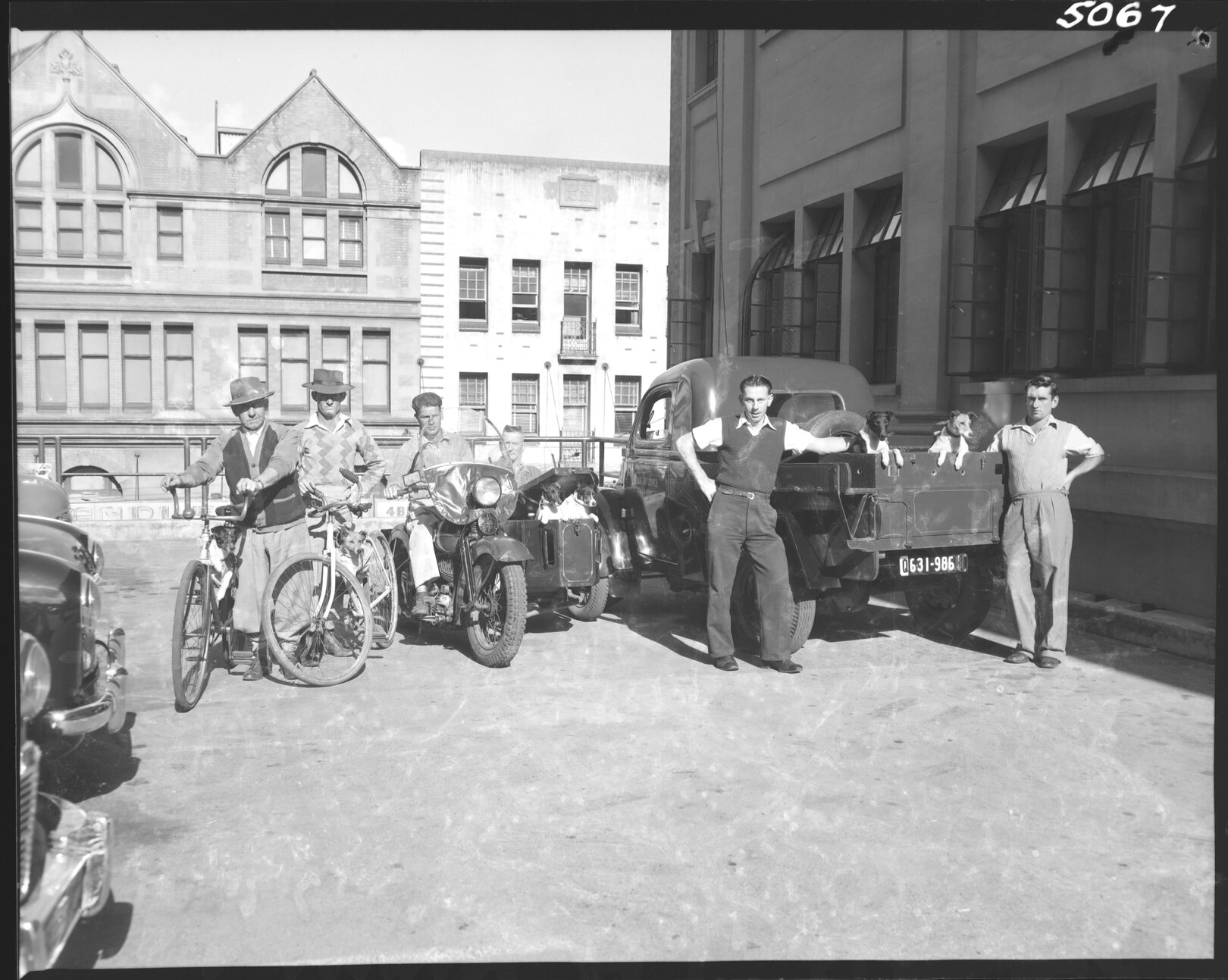 Rodent control gang with equipment and dogs - 1954