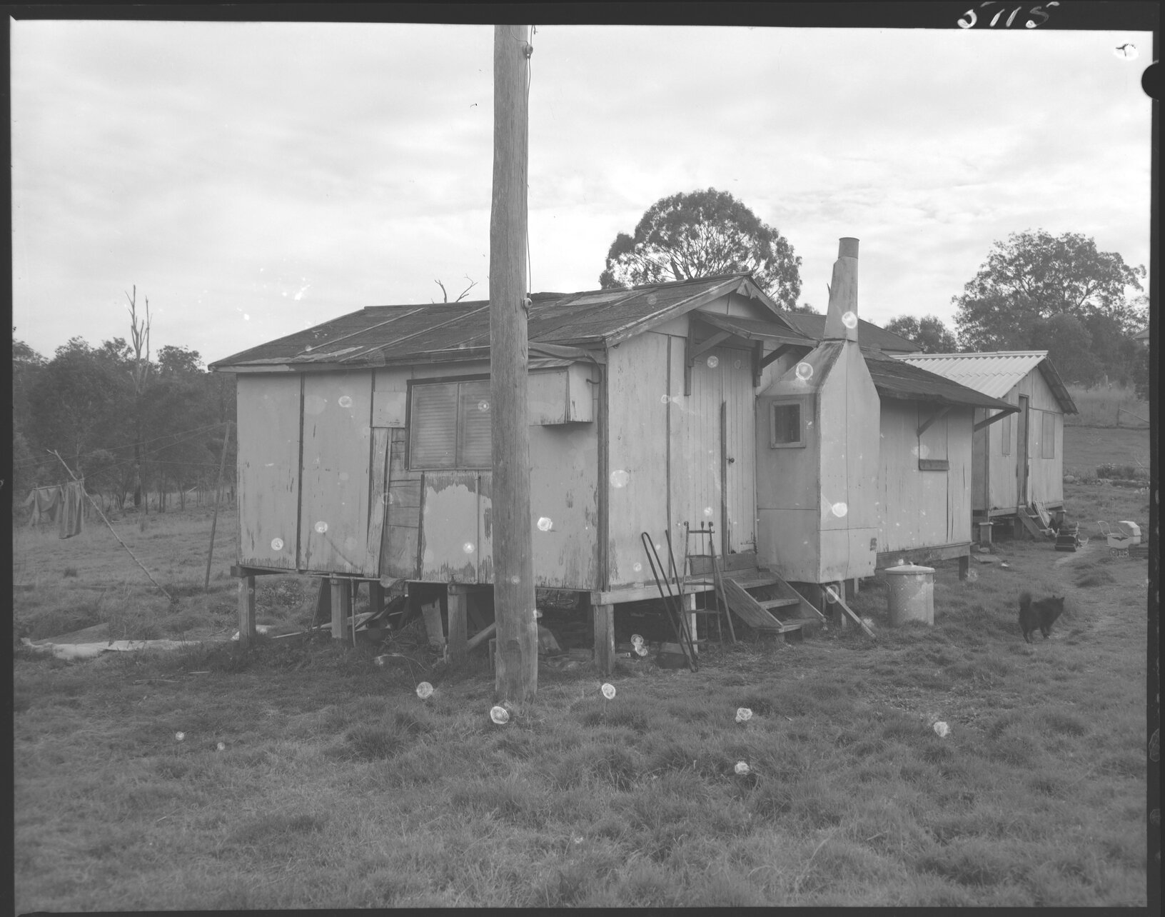 Temporary dwelling St Johns Wood, Ashgrove - 1954