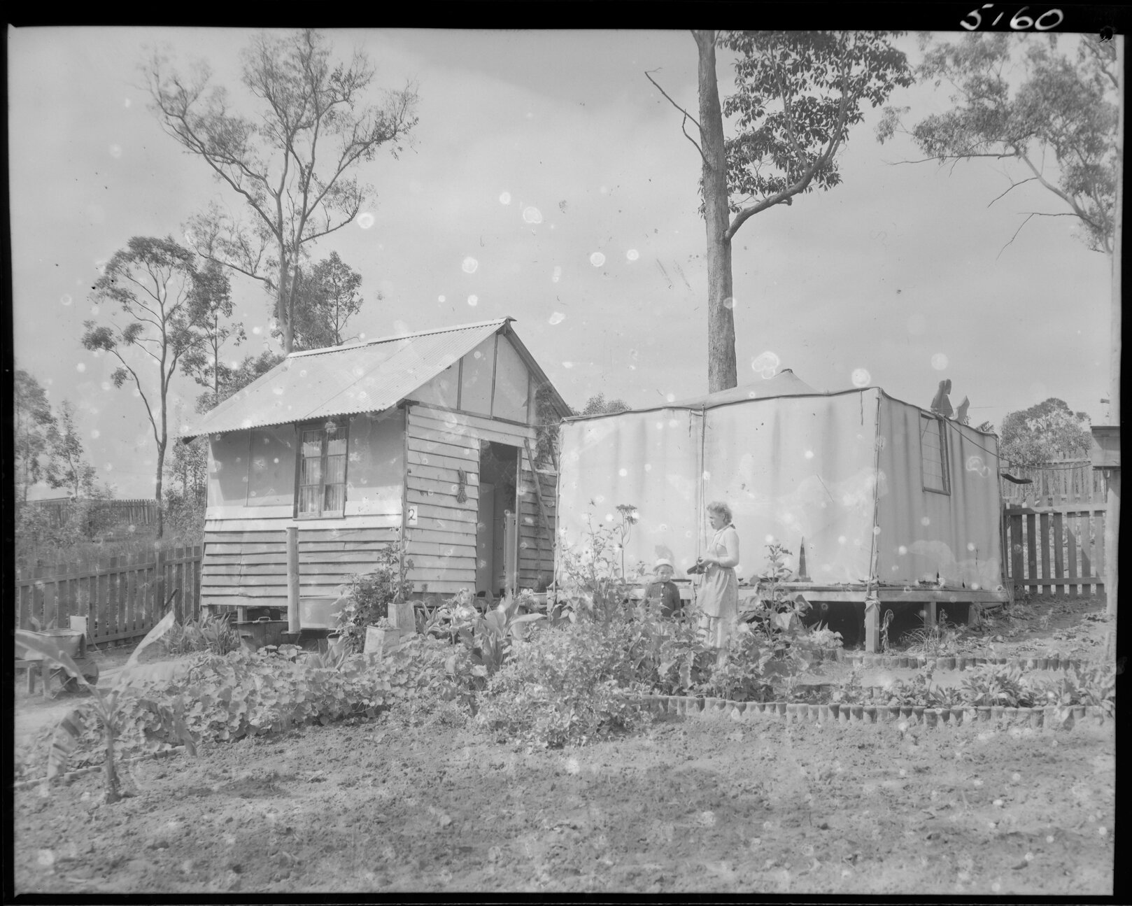 Temporary dwelling number 2  with vegetable garden and children, Darra - 1954