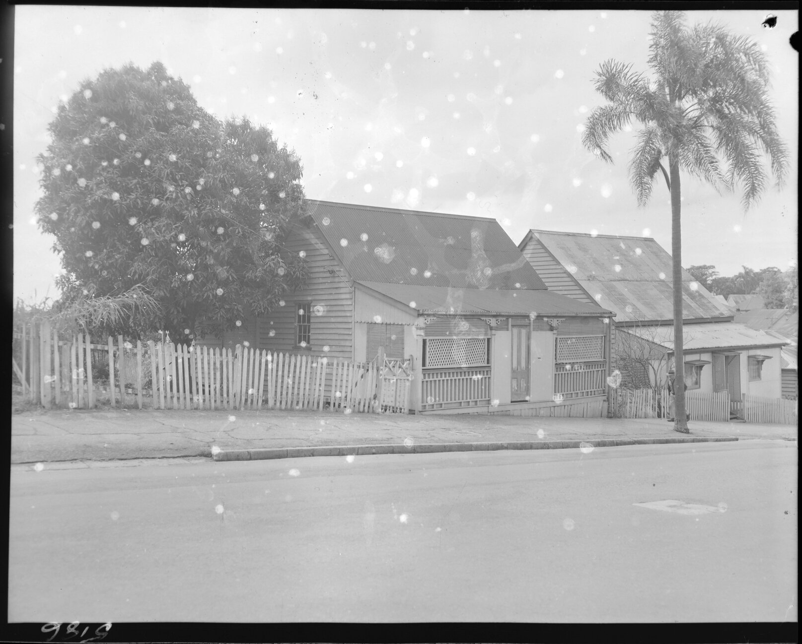 391 Water Street, Spring Hill - 1954