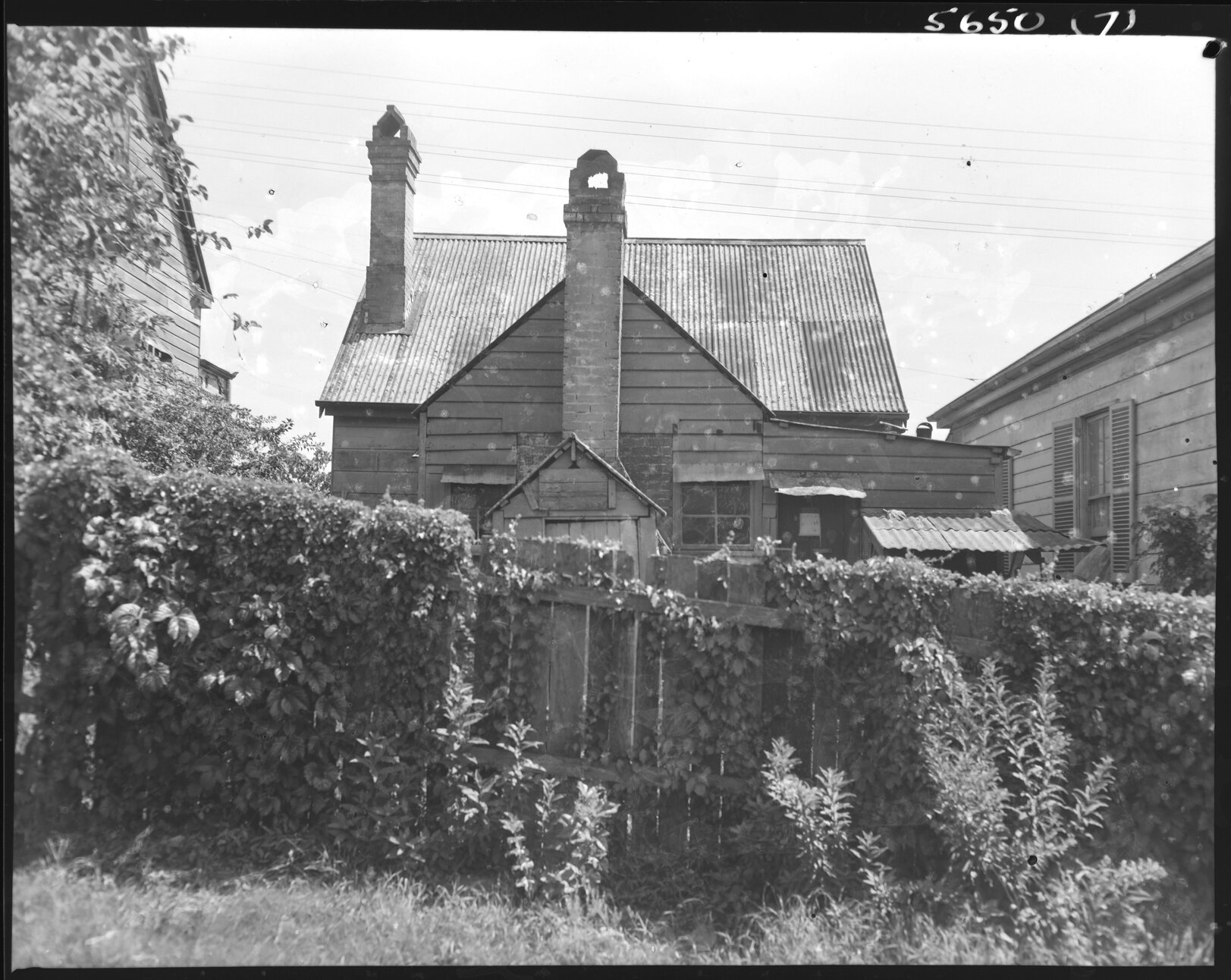 House with fence covered with vines, Boundary Street, Spring Hill - 1955