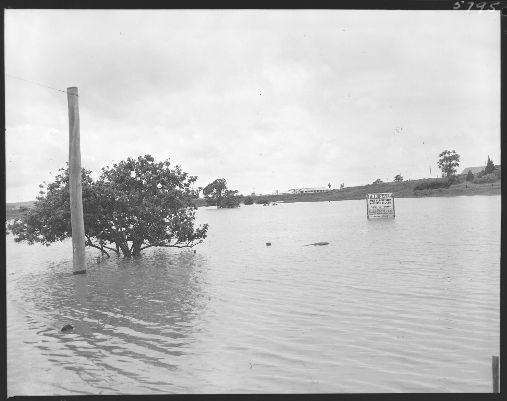 Flooded subdivision with For Sale sign, Oxley - 1955