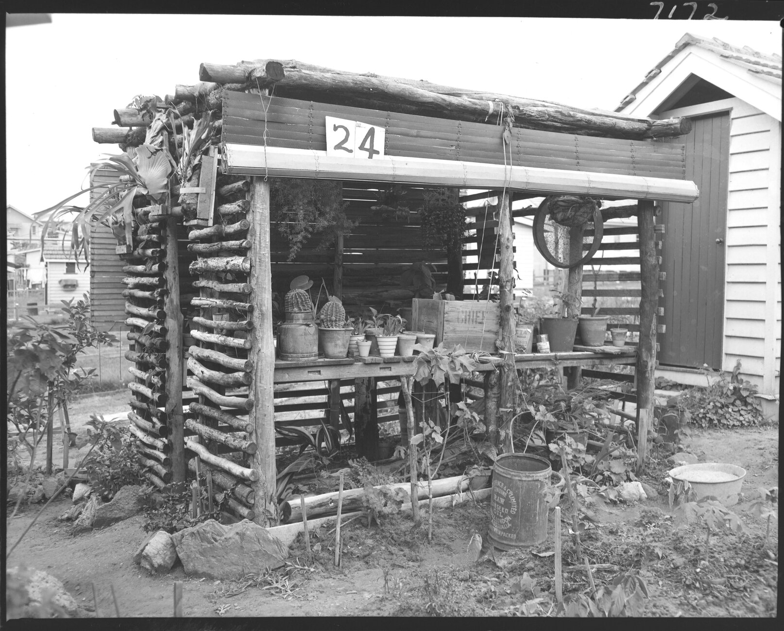 Plant nursery in garden shed at Inala