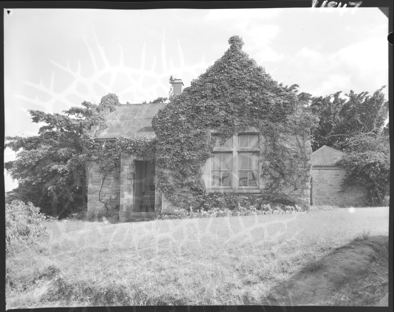 Windsor Council Chambers building overgrown with ivy - 1959
