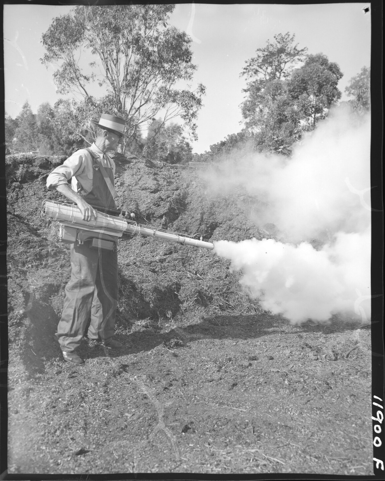 Fly control spraying - 1959