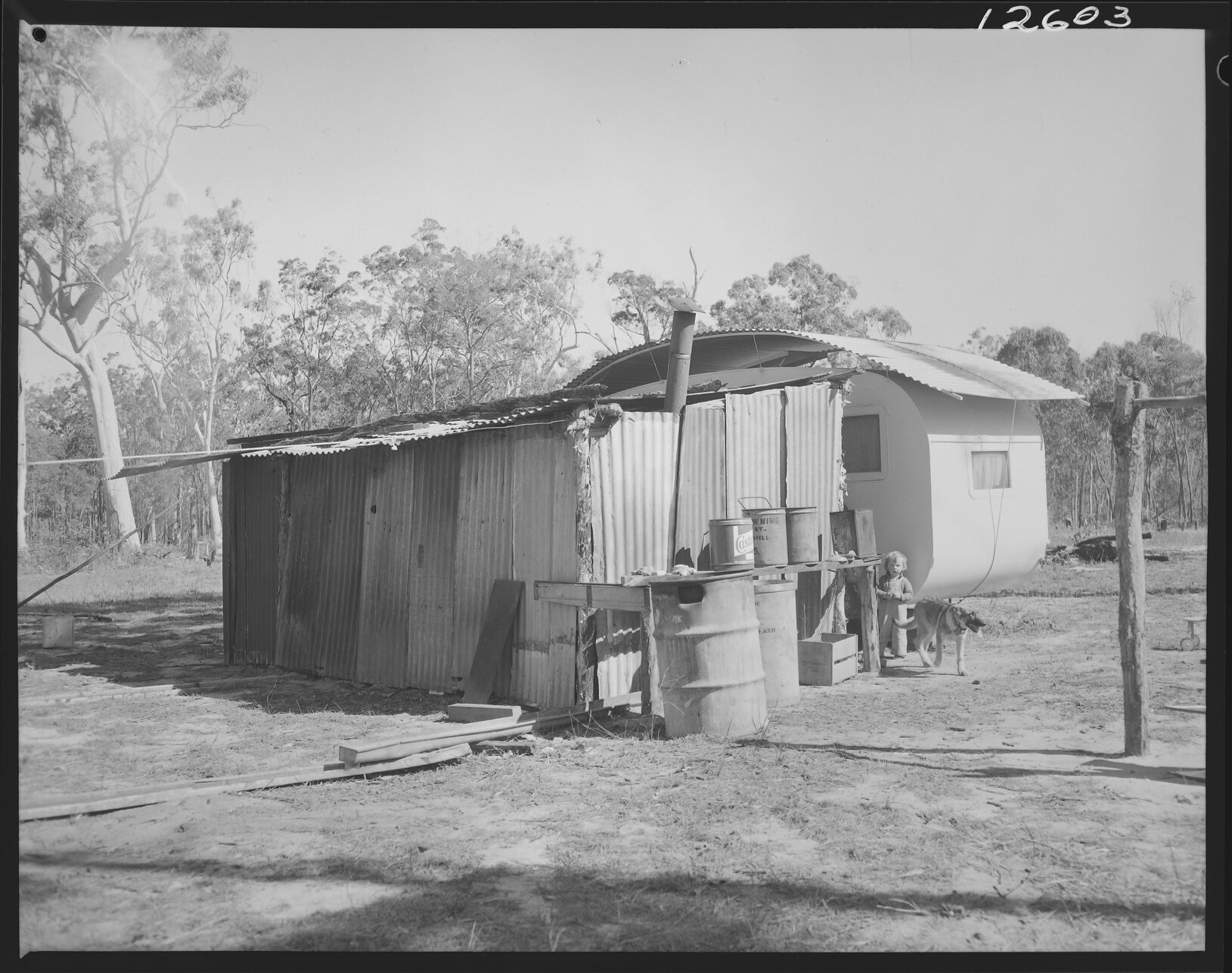 Child with dog next to temporary housing, Acacia Ridge - 1959