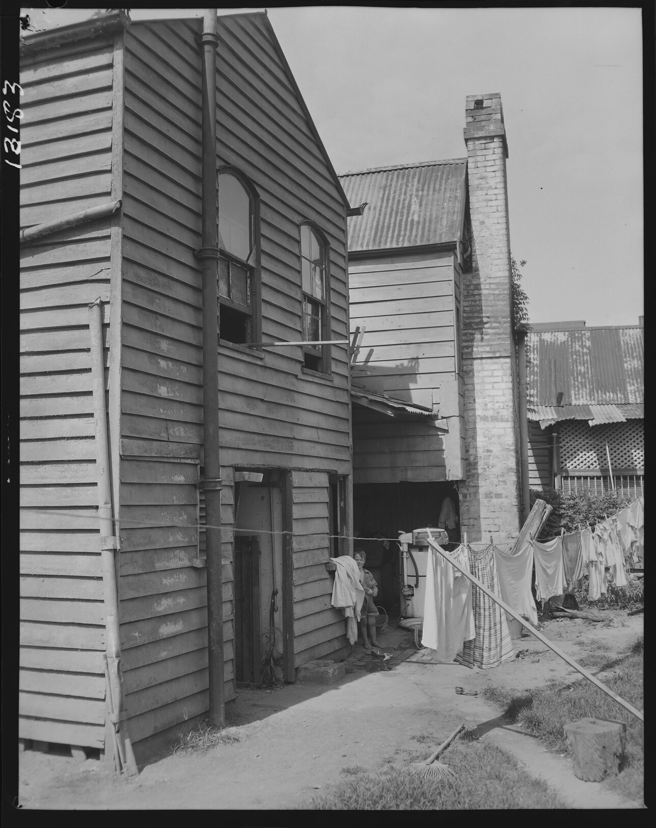 Backyard in Leichhardt Street, Spring Hill - 1959
