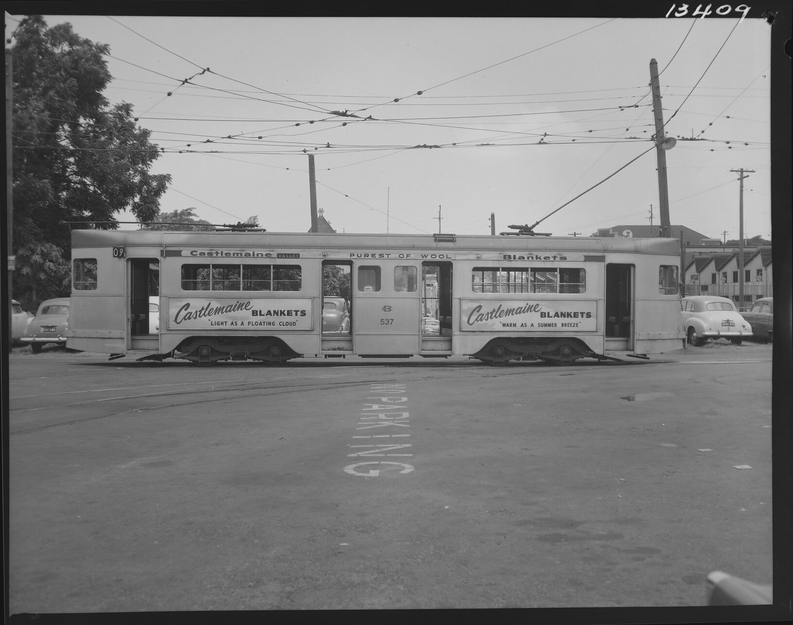 Tram No. 537 advertising Castlemaine Blankets - 1960