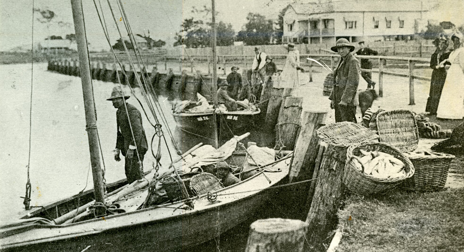 Unloading fish at Wynnum Creek - 1907