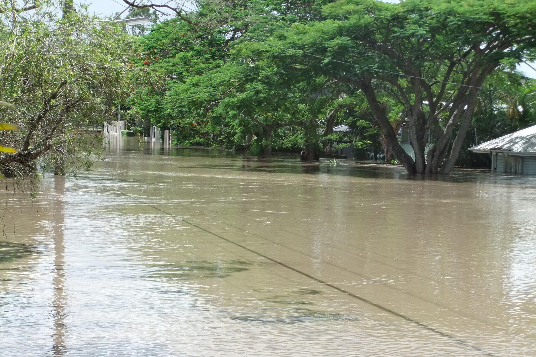 Corner of Jaora Street and Verney Road East submerged by floodwaters, Graceville - 2011