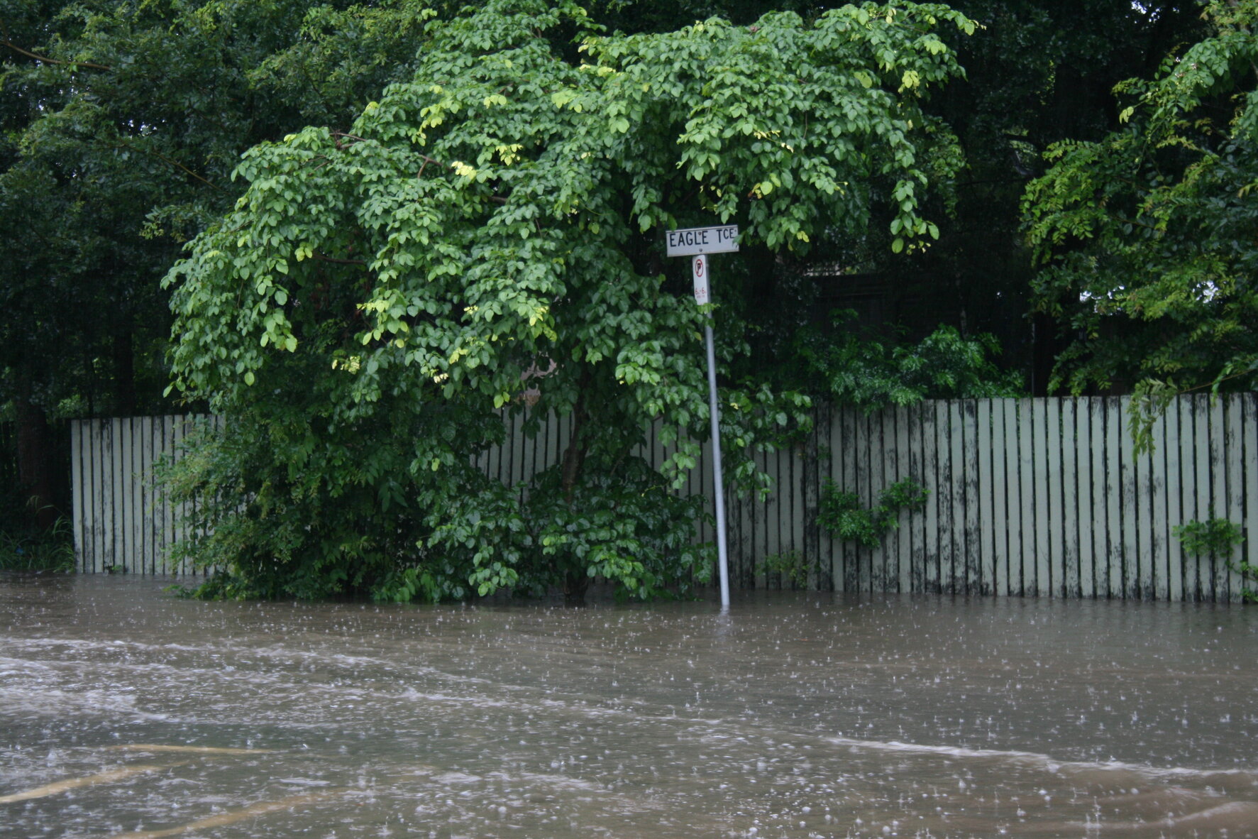 Eagle Terrace streetsign with rising floodwaters. Auchenflower - 2011