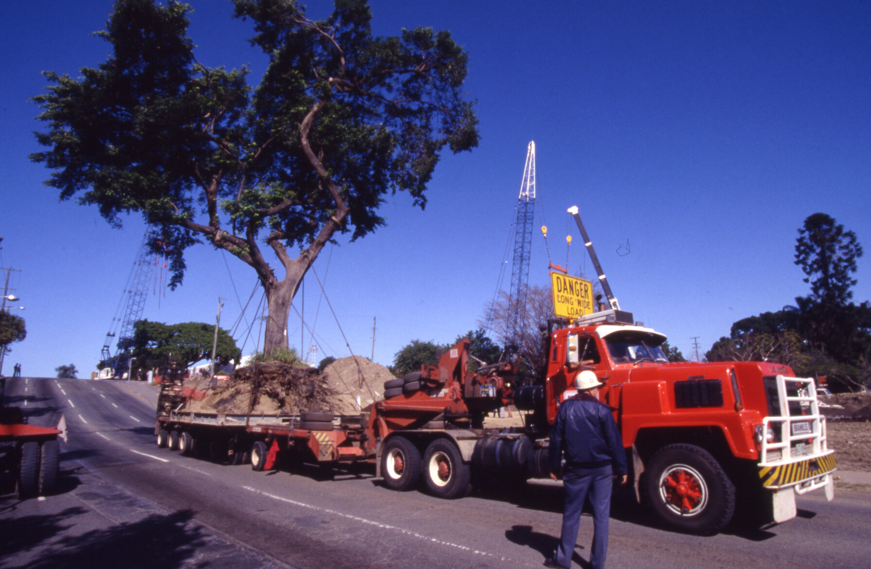 Trees being removed from Hale and Caxton Street and relocated to McCaskie Park, Kelvin Grove - 1992