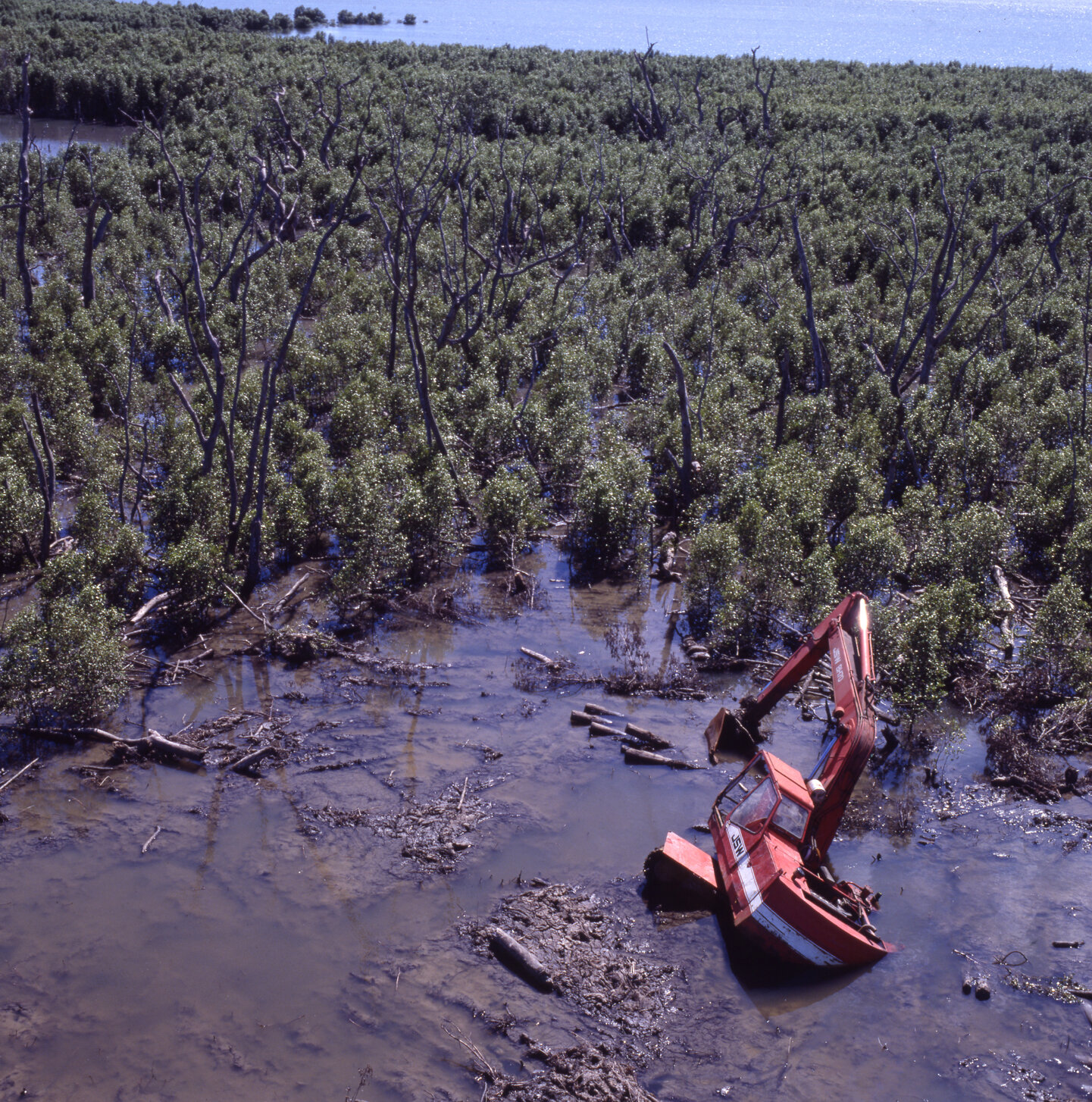 Backhoe stuck in mangroves at Nudgee Beach - 1994