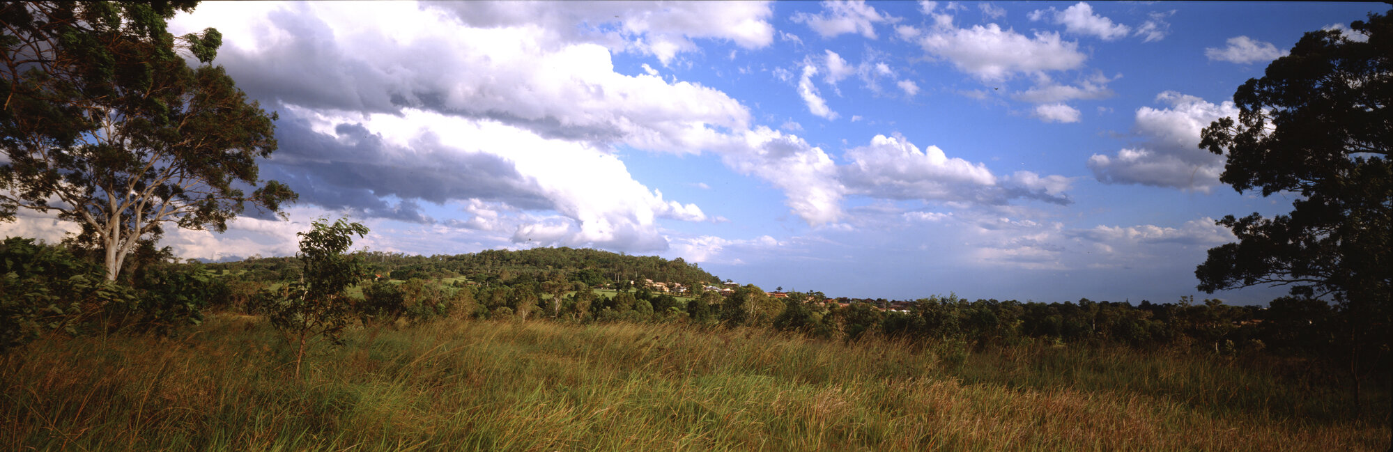 Landscape of grassy field unknown location - 1994