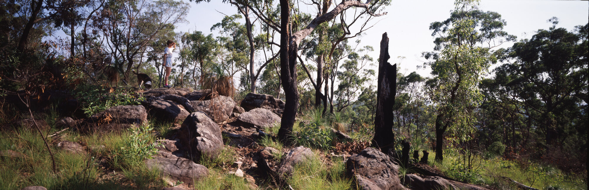 Landscape of rocky bushland, location unknown - 1995