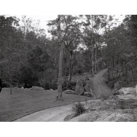 Mt Coot-tha Botanic Gardens View of new Site 1971
