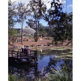 Mt Coot-tha Botanic Gardens - View across Lagoon towards Tropical Display Dome - 1983