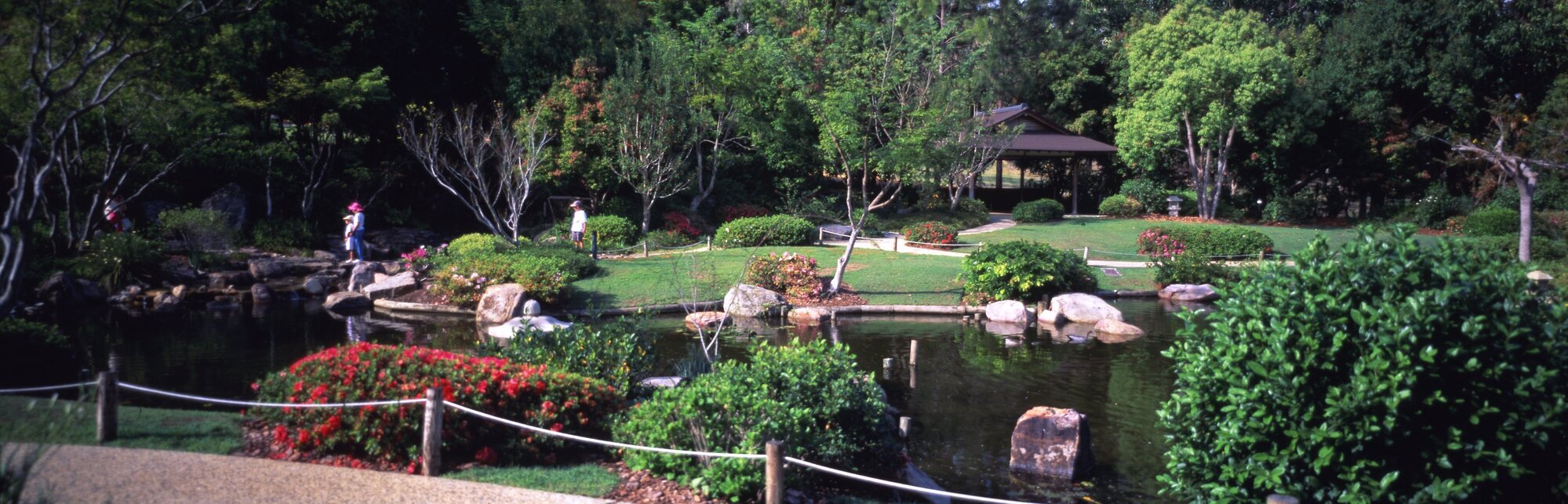 Mt Coot-tha Botanic Gardens - Japanese Gardens 1989