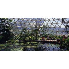 Mt Coot-tha Botanic Gardens - Panoramic interior view Tropical Dome 1989