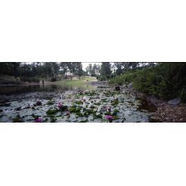 Mt Coot-tha Botanic Gardens Panoramic View of Lagoon 1989