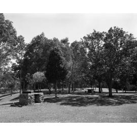 Sherwood Arboretum - New Picnic Area 1978
