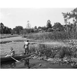 Sherwood Arboretum - Lagoon showing weed spraying 1976