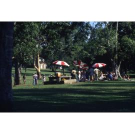 Sherwood Arboretum - 1985