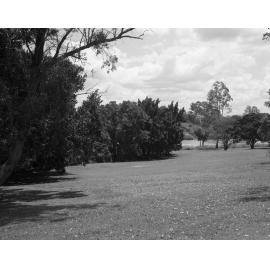 Sherwood Arboretum - 1975