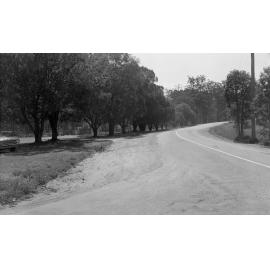Mt Coot-tha Road - Looking towards site of Botanic Gardens 1969