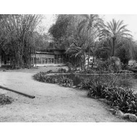 Zoo Cages - City Botanic Gardens - 1958