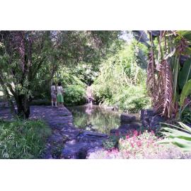 Lagoon in City Botanic Gardens - 1976