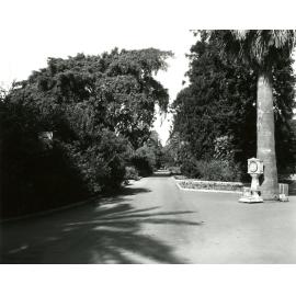 City Botanic Gardens - View from Edward Street Entrance Gates - 1963